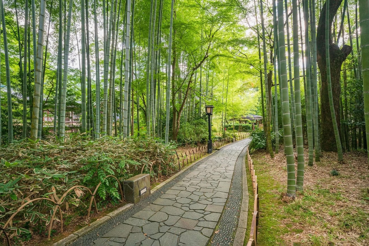 around tokyo luxury travel japan shuzenji temple bamboo forest luxe digital