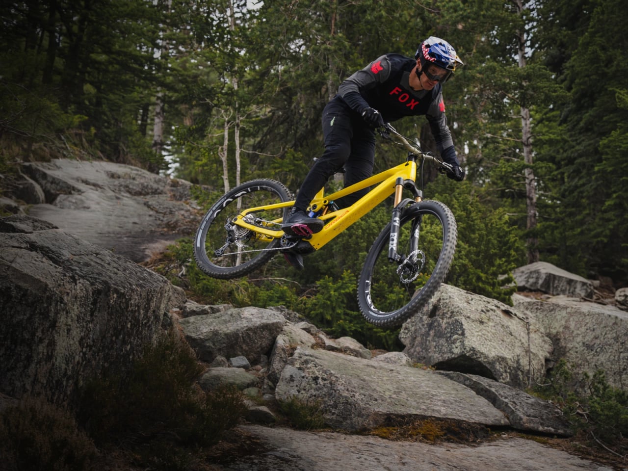 best bike brands orbea review - Luxe Digital
