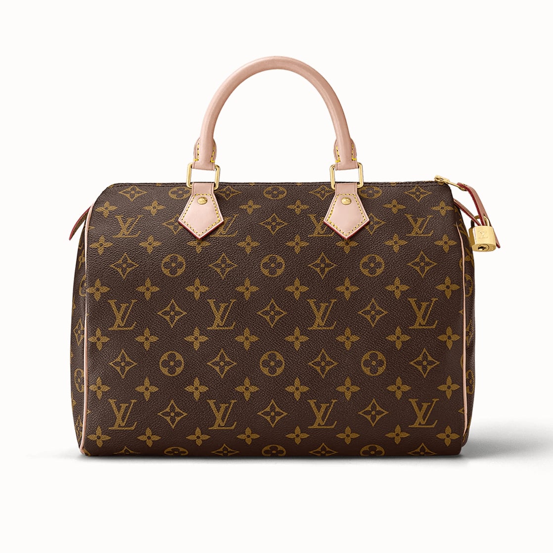 Louis Vuitton Speedy handbag