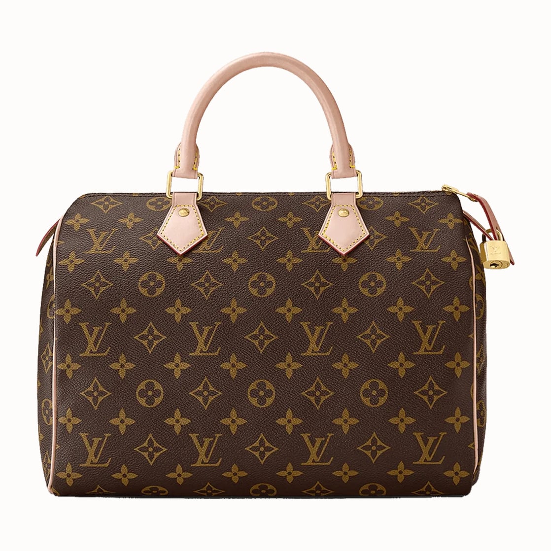 Louis Vuitton Speedy handbag