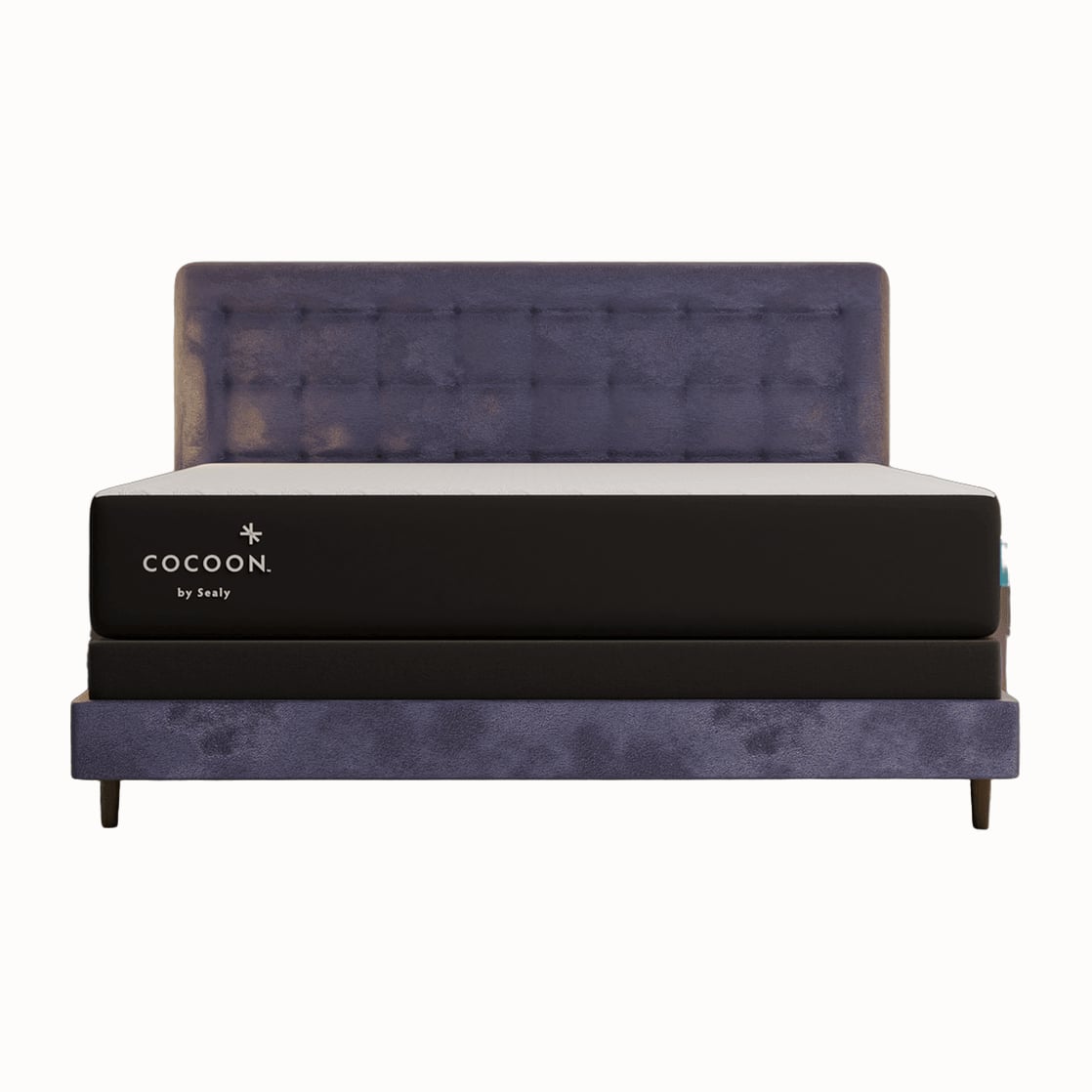 Cocoon by Sealy mattress