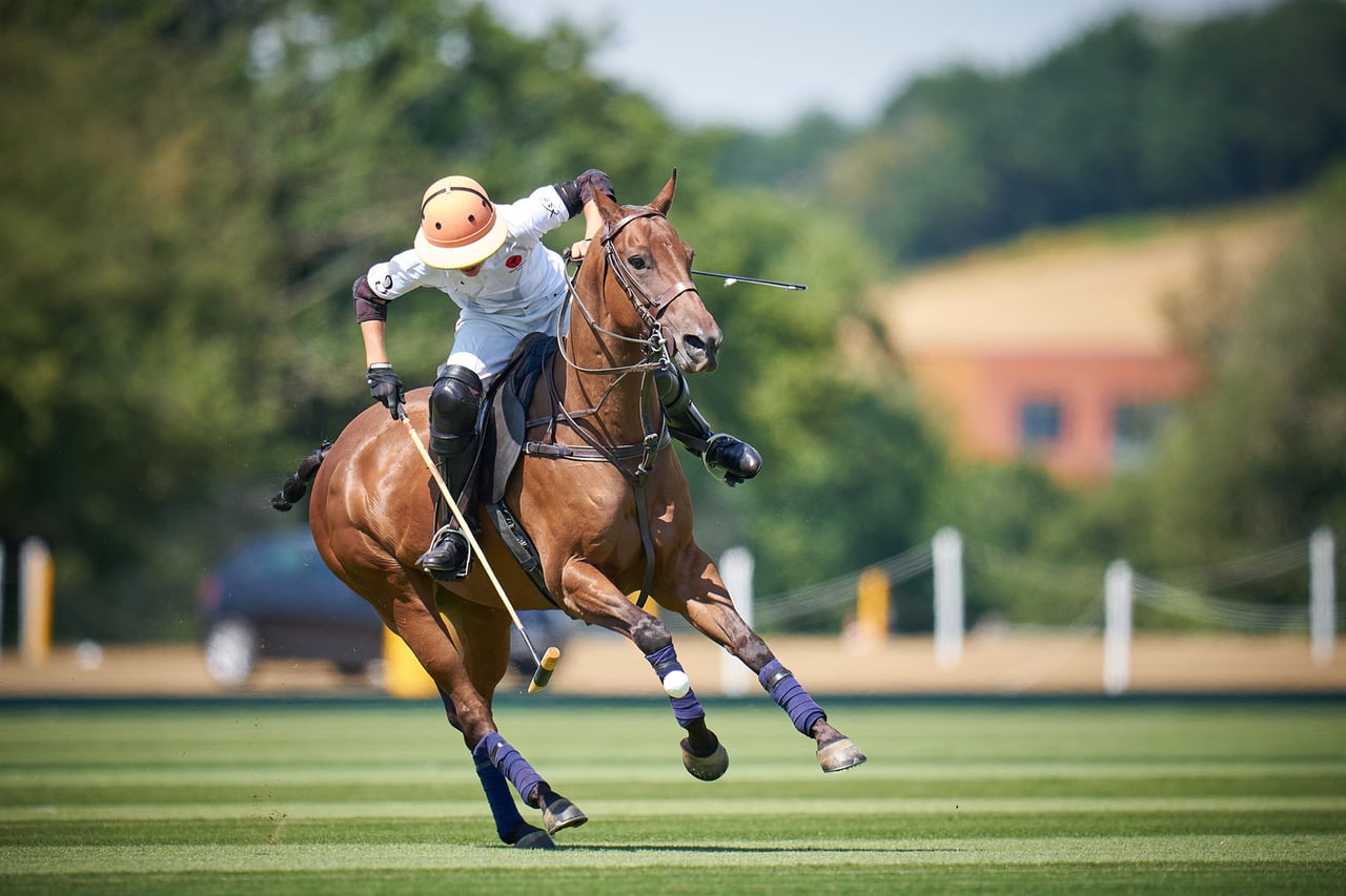 billionaires social calendar Cowdray Park polo - Luxe Digital