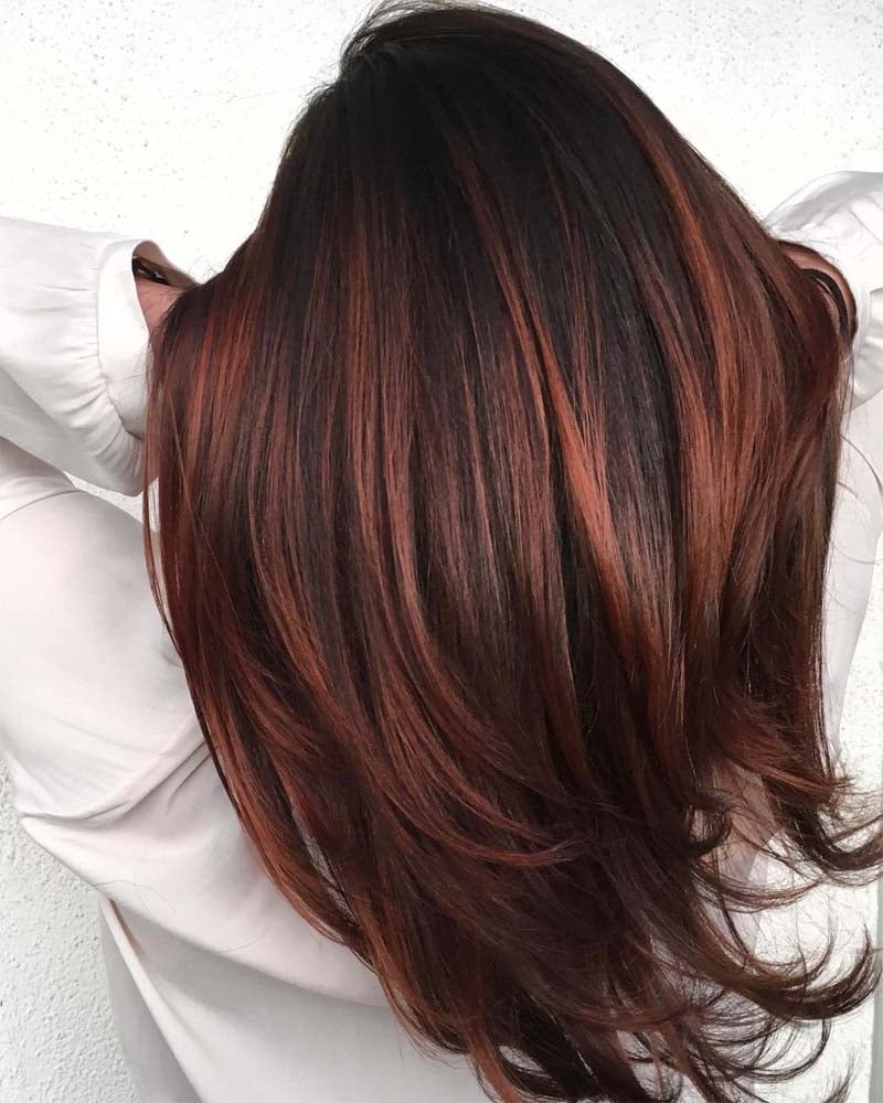 black hair highlights black and auburn hair color - Luxe Digital