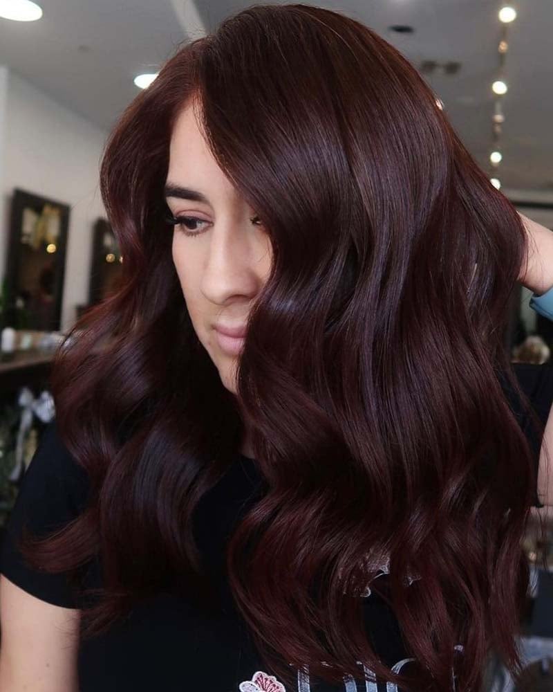 black hair highlights black and auburn hair color - Luxe Digital