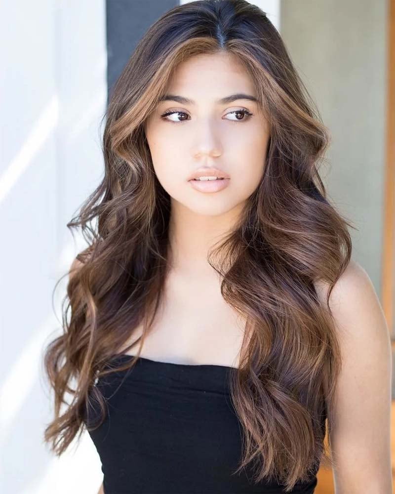 black hair highlights mocha hair with light brown highlights - Luxe Digital
