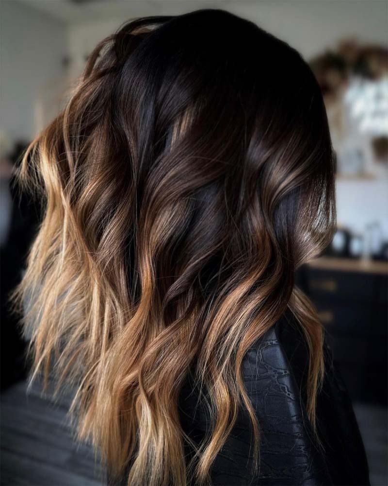 black hair with honey blonde highlights - Luxe Digital