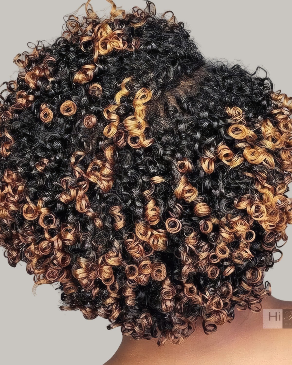 Round head of dark coils with caramel highlights, seen from above