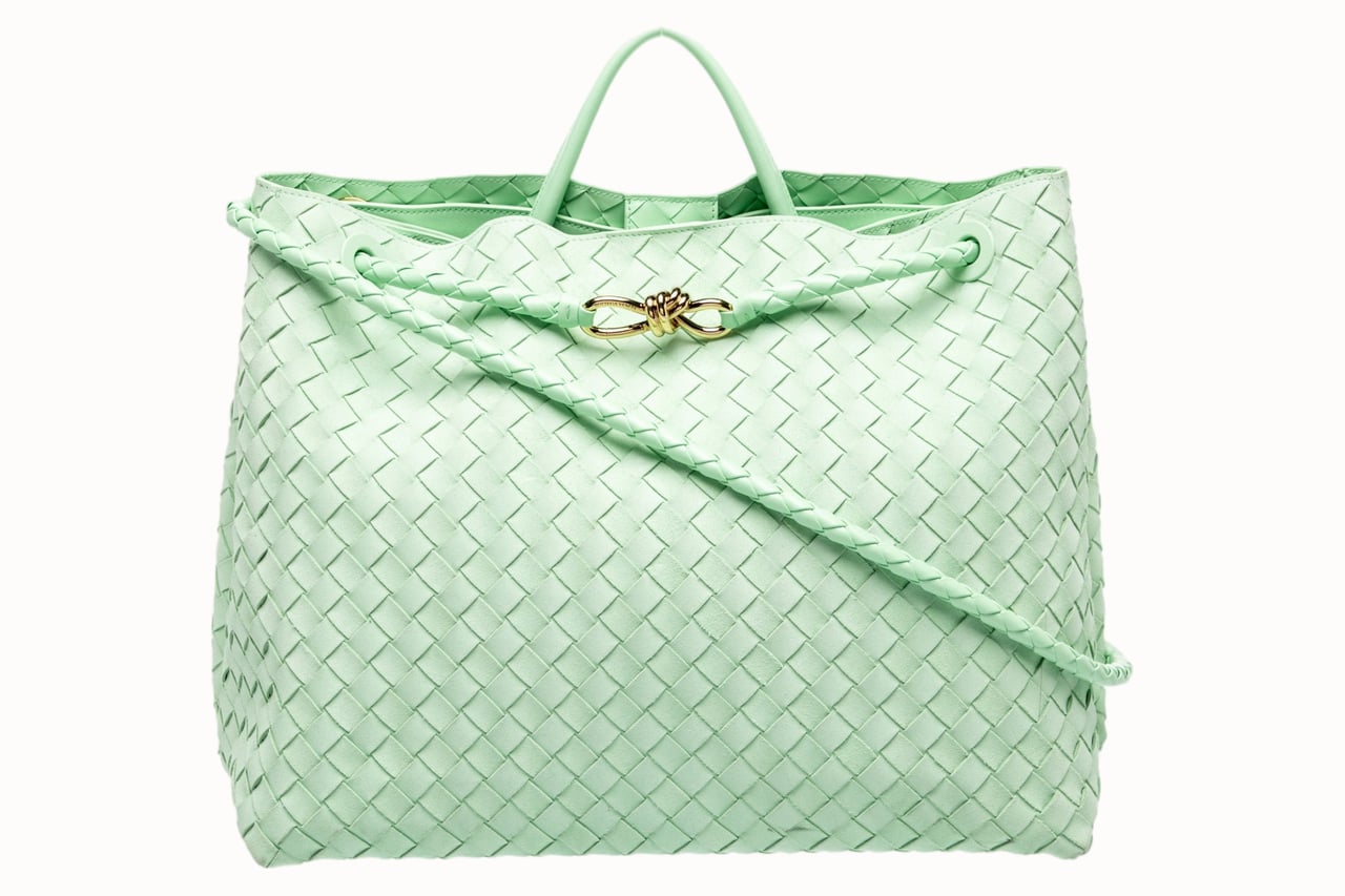 Bottega Veneta Andiamo Large