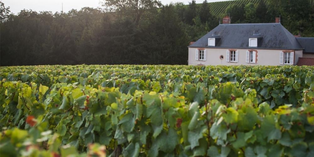 Krug Champagne Origin: How The First Luxury Champagne Came To Be