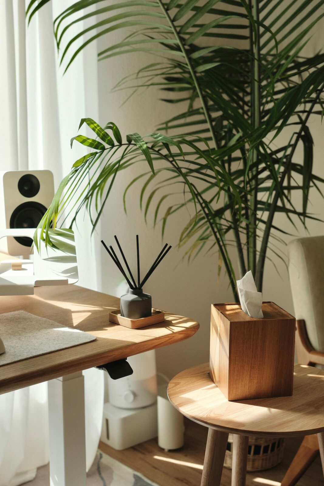 Maison Mayara areca palm and natural-wood accessories styled in a sunlit Japandi home office - Luxe Digital