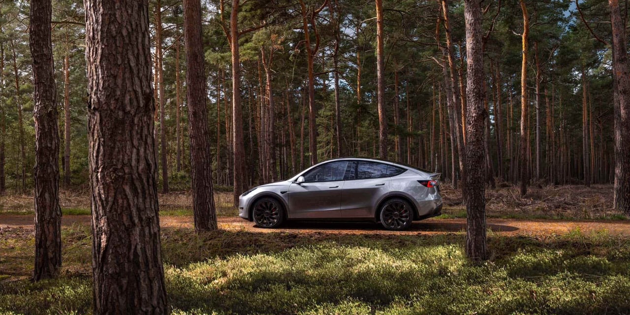 tesla brand - Luxe Digital