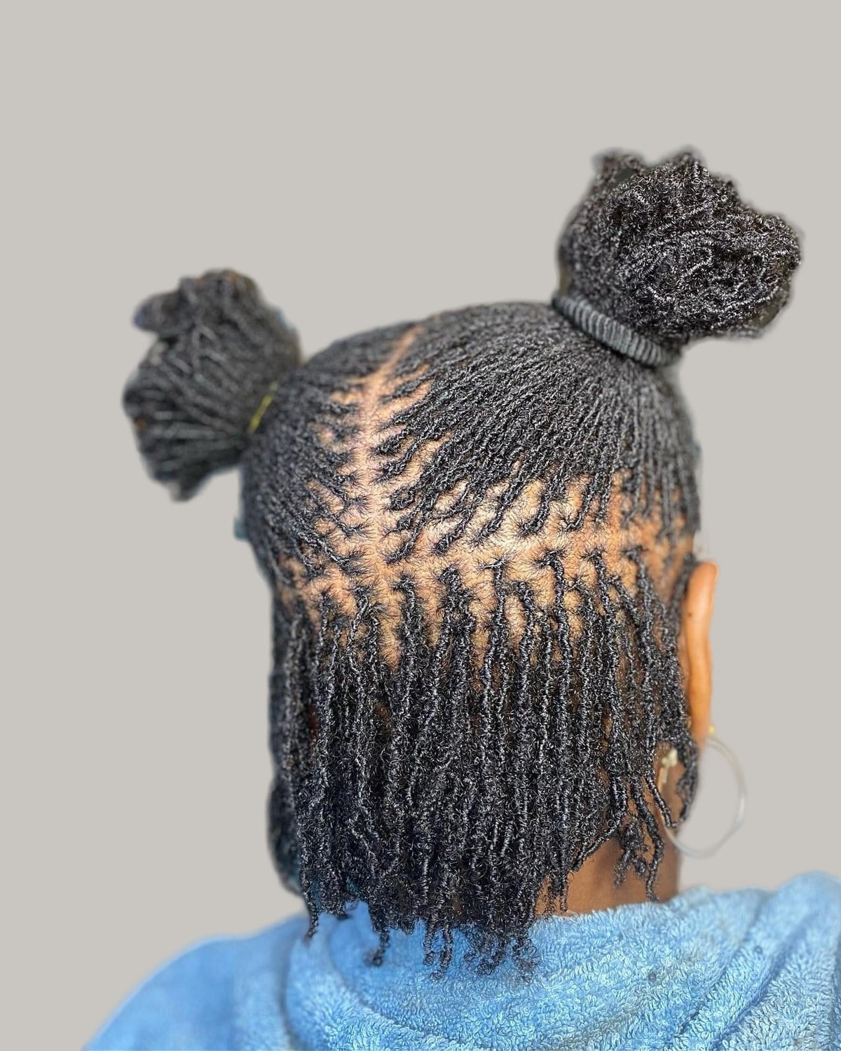 Back of a head with small locs in two high buns and the rest down