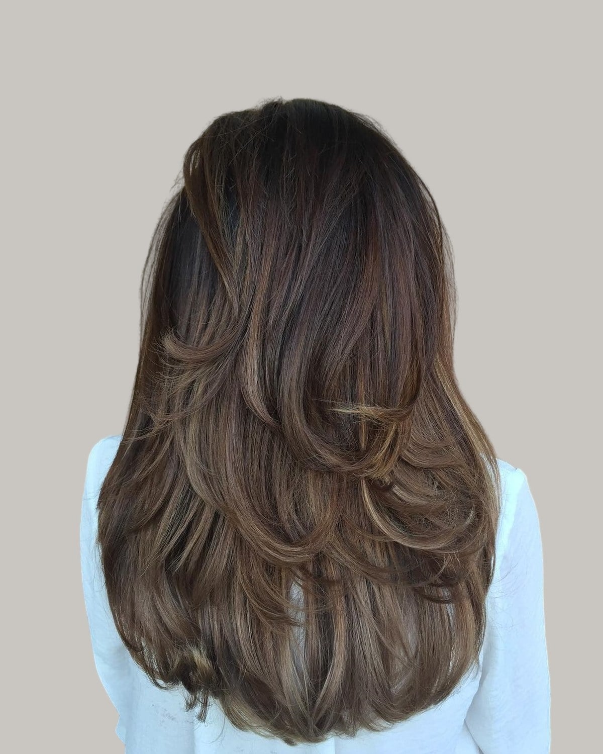 Long brunette hair with highlights seen from the back, in a rounded shape