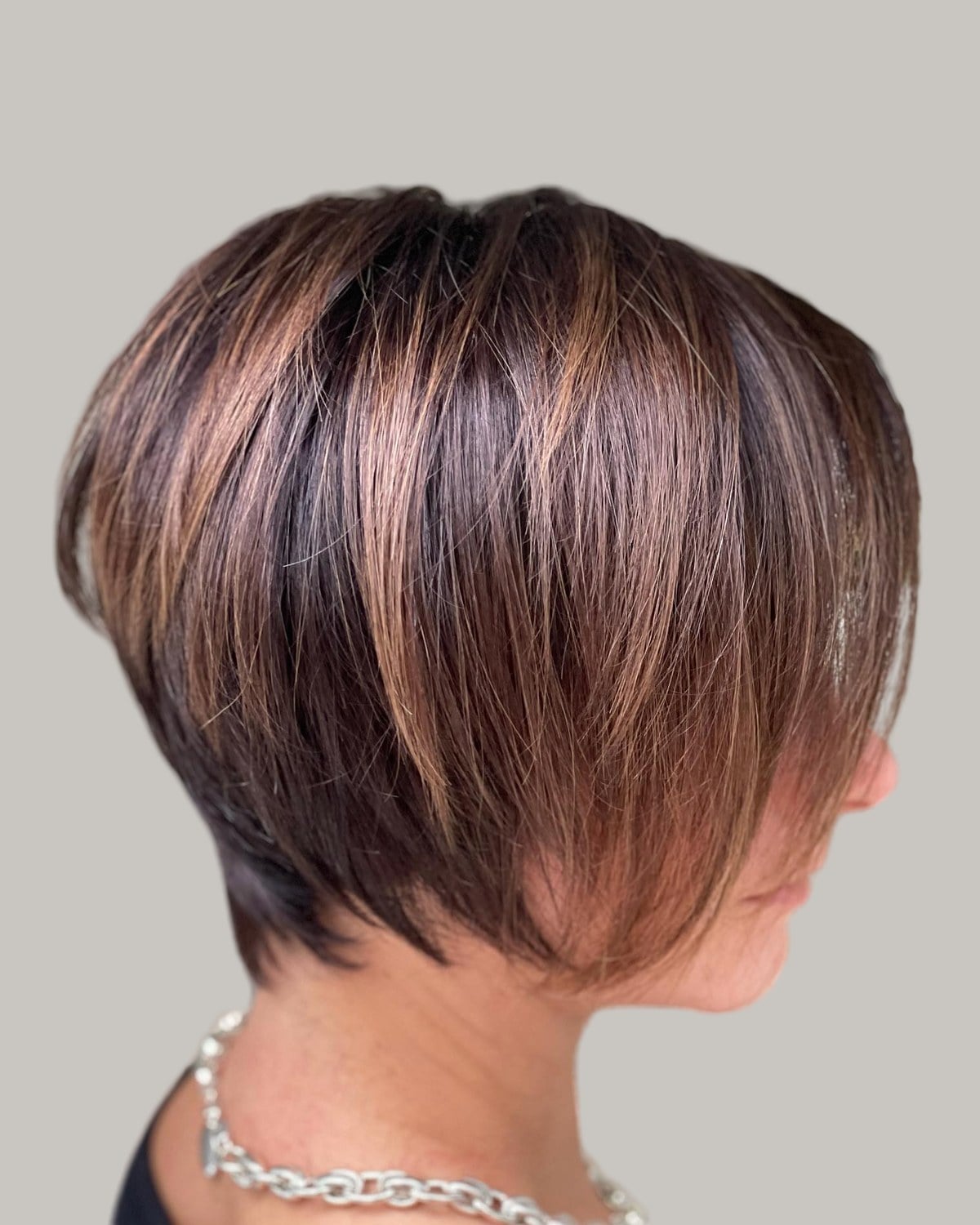 Back view of a dark-brown bixie with copper highlights